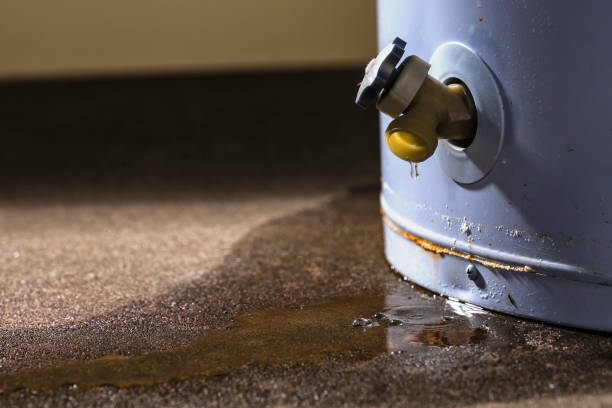 Best Flooded house restoration  in Lady Lake, FL