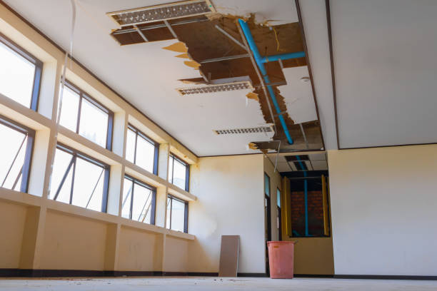 , FL Water damage restoration Company