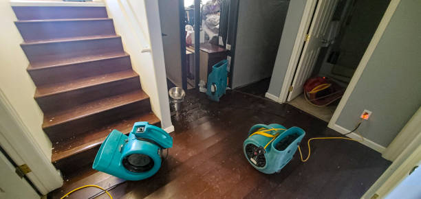 Best Water damage contractors near me  in Lady Lake, FL