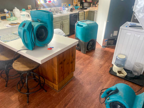 Best Basement water damage restoration  in Lady Lake, FL
