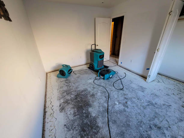 Best Sewage cleanup and water damage restoration  in Lady Lake, FL