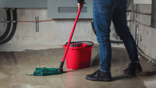 Best Professional water damage repair  in Lady Lake, FL