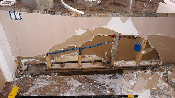 Best Mold removal after water damage  in Lady Lake, FL