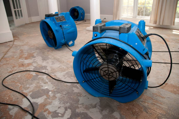 Best 24/7 water damage repair  in Lady Lake, FL