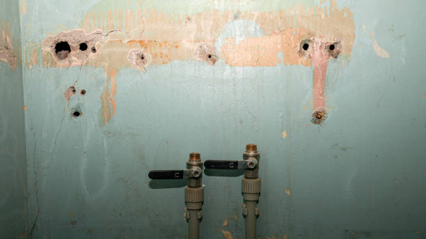 Best 24-hour water damage restoration  in Lady Lake, FL