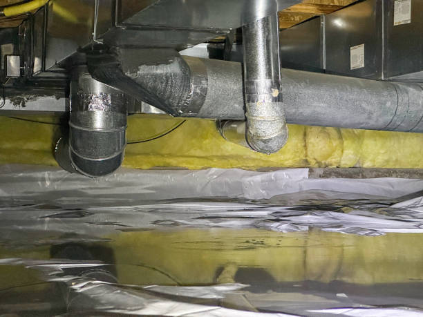 Best Flood damage cleanup  in Lady Lake, FL
