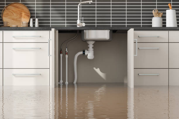 Best Water damage restoration near me  in Lady Lake, FL