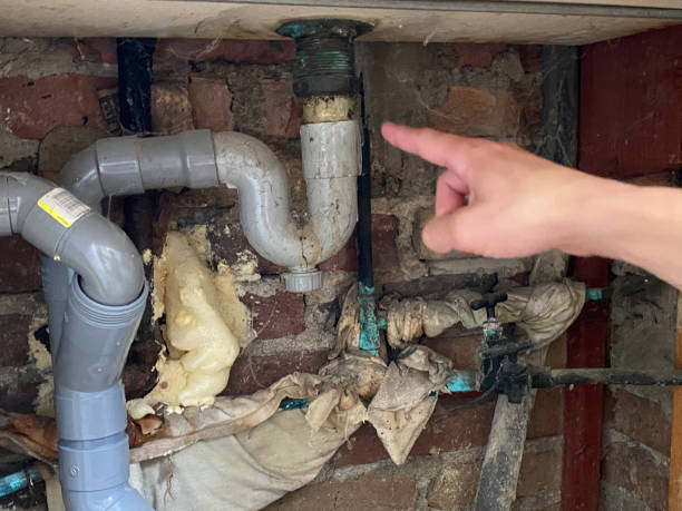 Best Fire Damage Restoration  in Lady Lake, FL