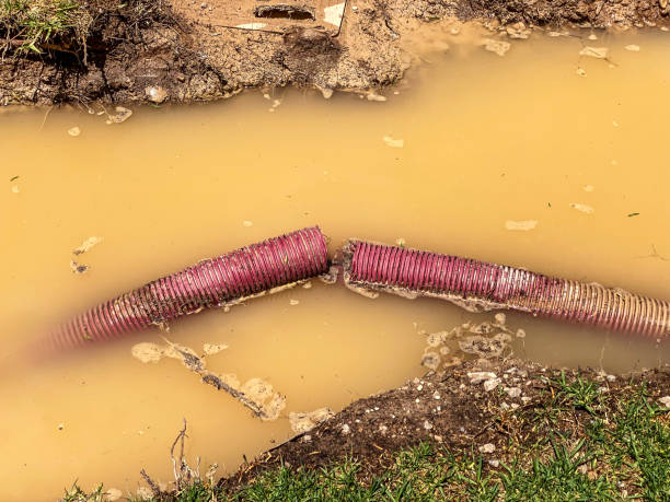 Best Water damage restoration cost  in Lady Lake, FL